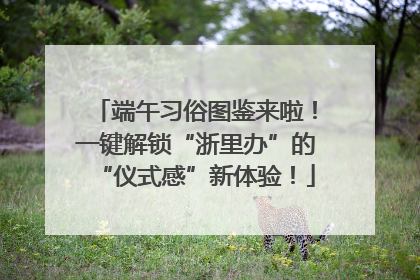 端午习俗图鉴来啦！一键解锁“浙里办”的“仪式感”新体验！