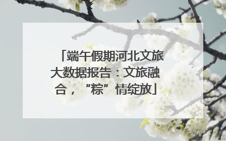 端午假期河北文旅大数据报告：文旅融合，“粽”情绽放