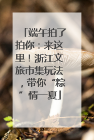 端午拍了拍你：来这里！浙江文旅市集玩法，带你“粽”情一夏