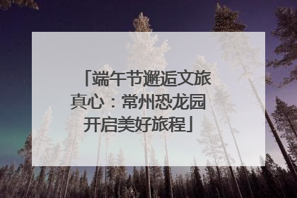 端午节邂逅文旅真心：常州恐龙园开启美好旅程