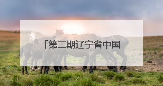 第二期辽宁省中国国际大学生创新大赛（2025）师资培训班在大连民族大学成功举办