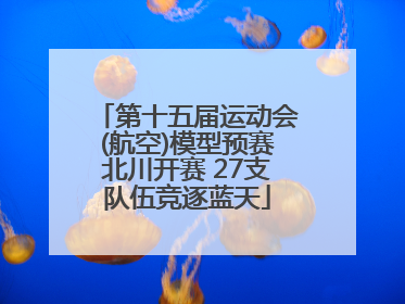 第十五届运动会(航空)模型预赛北川开赛 27支队伍竞逐蓝天