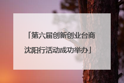 第六届创新创业台商沈阳行活动成功举办