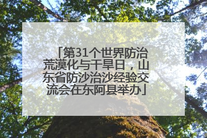 第31个世界防治荒漠化与干旱日，山东省防沙治沙经验交流会在东阿县举办