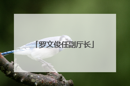 罗文俊任副厅长