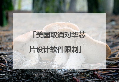 美国取消对华芯片设计软件限制