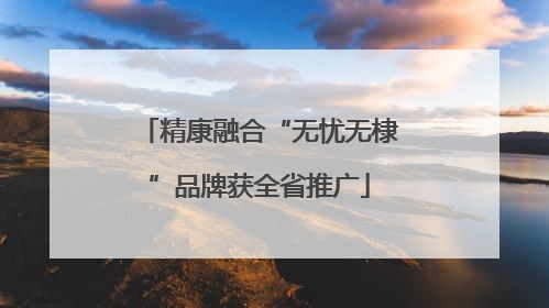 精康融合“无忧无棣”品牌获全省推广