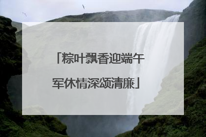 粽叶飘香迎端午 军休情深颂清廉