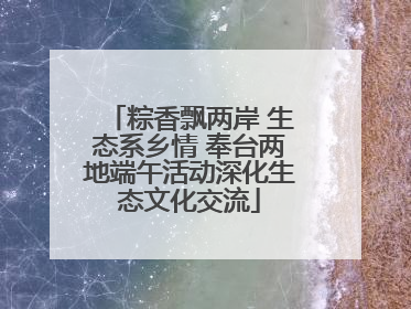 粽香飘两岸 生态系乡情 奉台两地端午活动深化生态文化交流