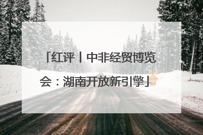 红评丨中非经贸博览会：湖南开放新引擎