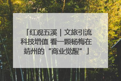 红观五溪｜文旅引流 科技增值 看一颗杨梅在靖州的“商业觉醒”