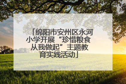 绵阳市安州区永河小学开展“珍惜粮食 从我做起”主题教育实践活动