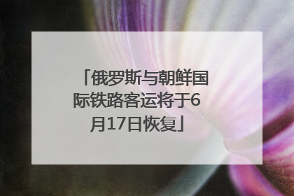 俄罗斯与朝鲜国际铁路客运将于6月17日恢复