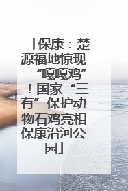 保康：楚源福地惊现“嘎嘎鸡”！国家“三有”保护动物石鸡亮相保康沿河公园