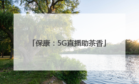 保康：5G直播助茶香