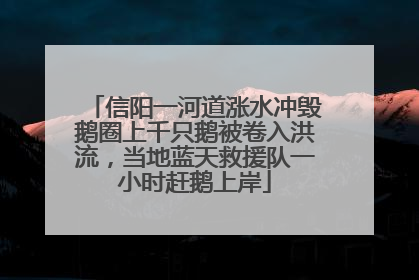 信阳一河道涨水冲毁鹅圈上千只鹅被卷入洪流，当地蓝天救援队一小时赶鹅上岸