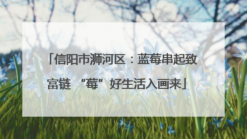 信阳市浉河区：蓝莓串起致富链 “莓”好生活入画来