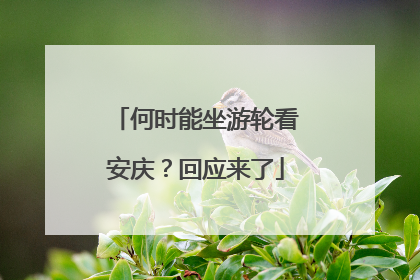 何时能坐游轮看安庆？回应来了