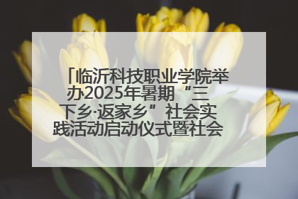 临沂科技职业学院举办2025年暑期“三下乡·返家乡”社会实践活动启动仪式暨社会实践活动供需交流会
