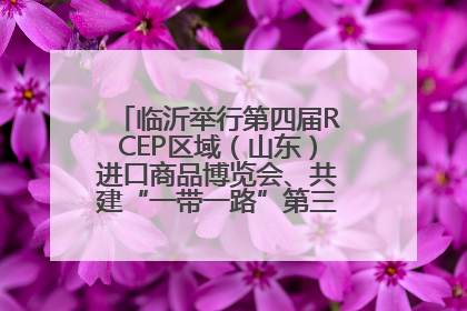 临沂举行第四届RCEP区域（山东）进口商品博览会、共建“一带一路”第三届临沂商城国际采购商大会新闻发布会