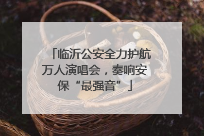 临沂公安全力护航万人演唱会，奏响安保“最强音”