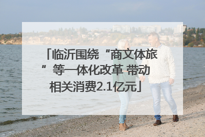 临沂围绕“商文体旅”等一体化改革 带动相关消费2.1亿元