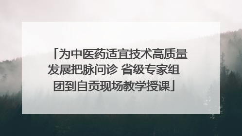 为中医药适宜技术高质量发展把脉问诊 省级专家组团到自贡现场教学授课