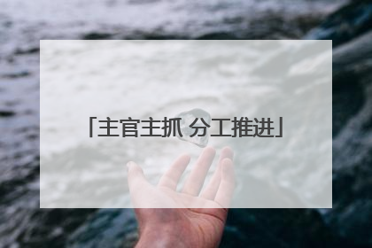 主官主抓 分工推进