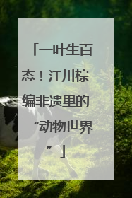 一叶生百态！江川棕编非遗里的“动物世界”