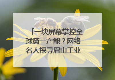 一块屏幕掌控全球第一产能？网络名人探寻眉山工业高质量发展密码｜网络名人四川行