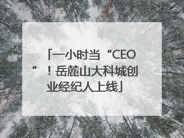 一小时当“CEO”！岳麓山大科城创业经纪人上线