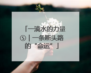 一滴水的力量⑤｜一条断头路的“命运”