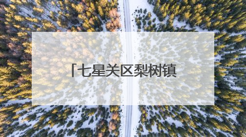 七星关区梨树镇中心校开展铁路安全宣传教育活动