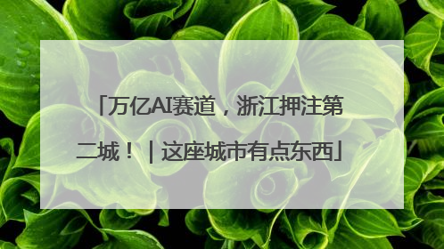 万亿AI赛道，浙江押注第二城！｜这座城市有点东西