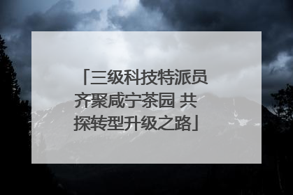 三级科技特派员齐聚咸宁茶园 共探转型升级之路