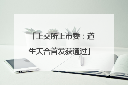 上交所上市委：道生天合首发获通过