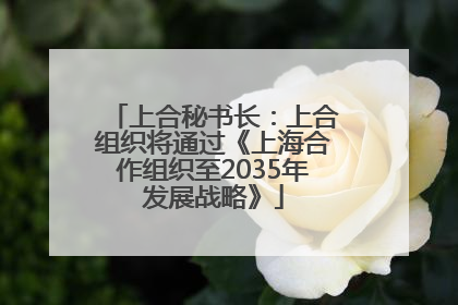 上合秘书长：上合组织将通过《上海合作组织至2035年发展战略》