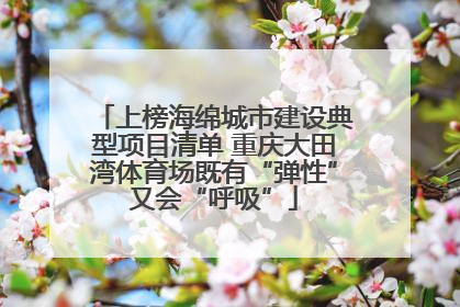 上榜海绵城市建设典型项目清单 重庆大田湾体育场既有“弹性”又会“呼吸”
