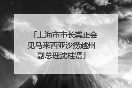 上海市市长龚正会见马来西亚沙捞越州副总理沈桂贤