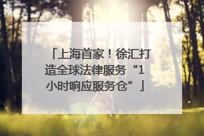上海首家！徐汇打造全球法律服务“1小时响应服务仓”