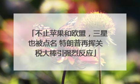不止苹果和欧盟，三星也被点名 特朗普再挥关税大棒引强烈反应