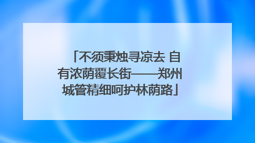 不须秉烛寻凉去 自有浓荫覆长街——郑州城管精细呵护林荫路