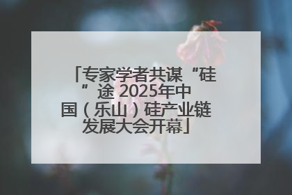 专家学者共谋“硅”途 2025年中国（乐山）硅产业链发展大会开幕