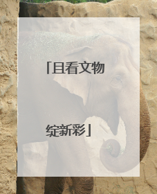 且看文物绽新彩