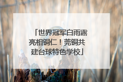 世界冠军白雨露亮相铜仁！莞铜共建台球特色学校