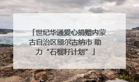 世纪华通爱心捐赠内蒙古自治区额尔古纳市 助力“石榴籽计划”