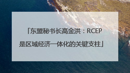 东盟秘书长高金洪：RCEP是区域经济一体化的关键支柱
