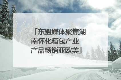 东盟媒体聚焦湖南怀化箱包产业 产品畅销亚欧美