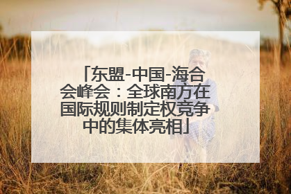 东盟-中国-海合会峰会：全球南方在国际规则制定权竞争中的集体亮相