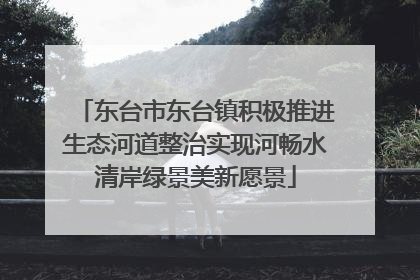 东台市东台镇积极推进生态河道整治实现河畅水清岸绿景美新愿景